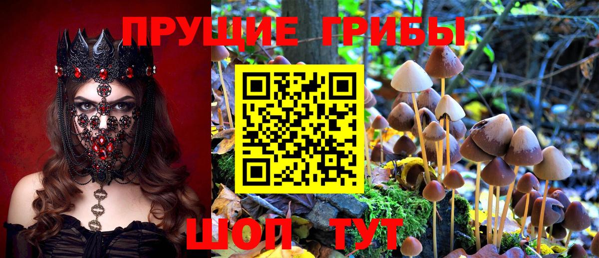 Галлюциногенные грибы мухоморы Кумертау